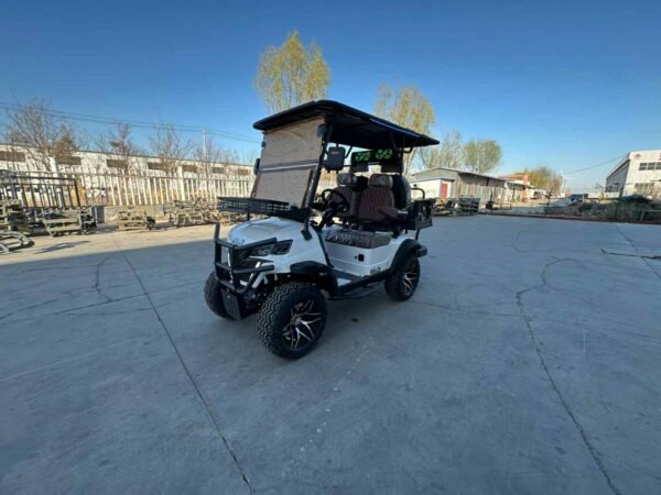 KART 4 PLACES VERT LITTIUM GARANTIE 1 ANS ARRIVER 15-21 JOURS OUVRABLE 2999.99$